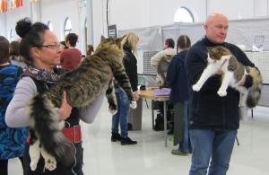 Tuurin näyttelyssä, Sisko ja se veli venytettynä(ei paljon).