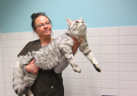 Kaima Marita ja Lumo