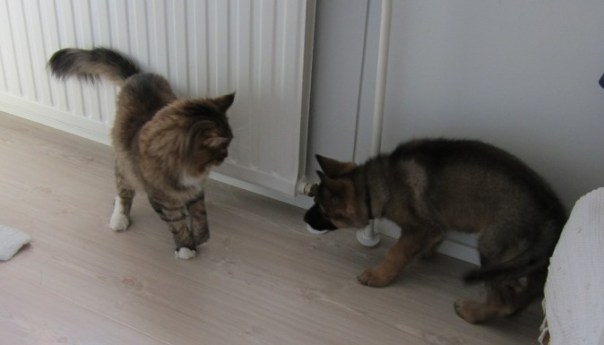 Mä tiedän että sä kasvat