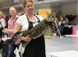 Moggi Cog Nakki, kuva Tessa LV