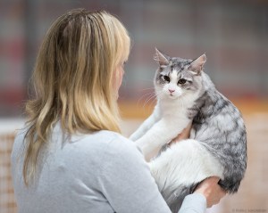 Lettu, kuva Pekka Savolainen