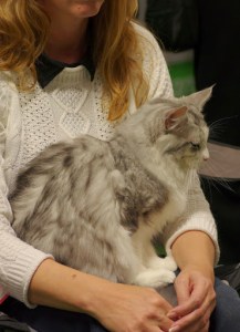 Lettu, kuva Pirjo Kiviniemi