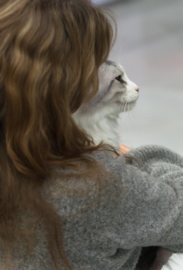 Lettu, kuva Pauli Araneva