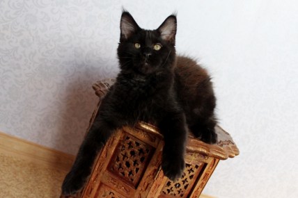 Well well well, who is he?