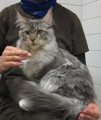 Thor 6 ja puoli kuukautta