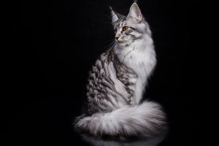 12637058_1818193811751217_276813365_o