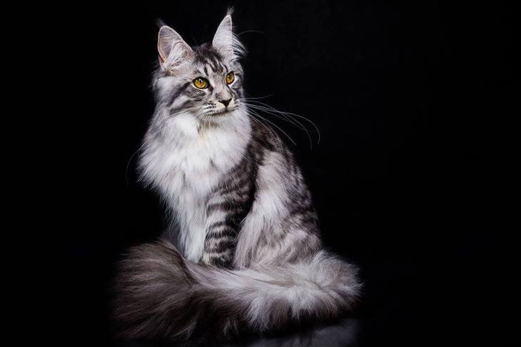 12637098_1818194561751142_1584951535_o