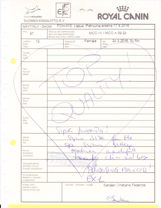 fannin-arvosteluseteli