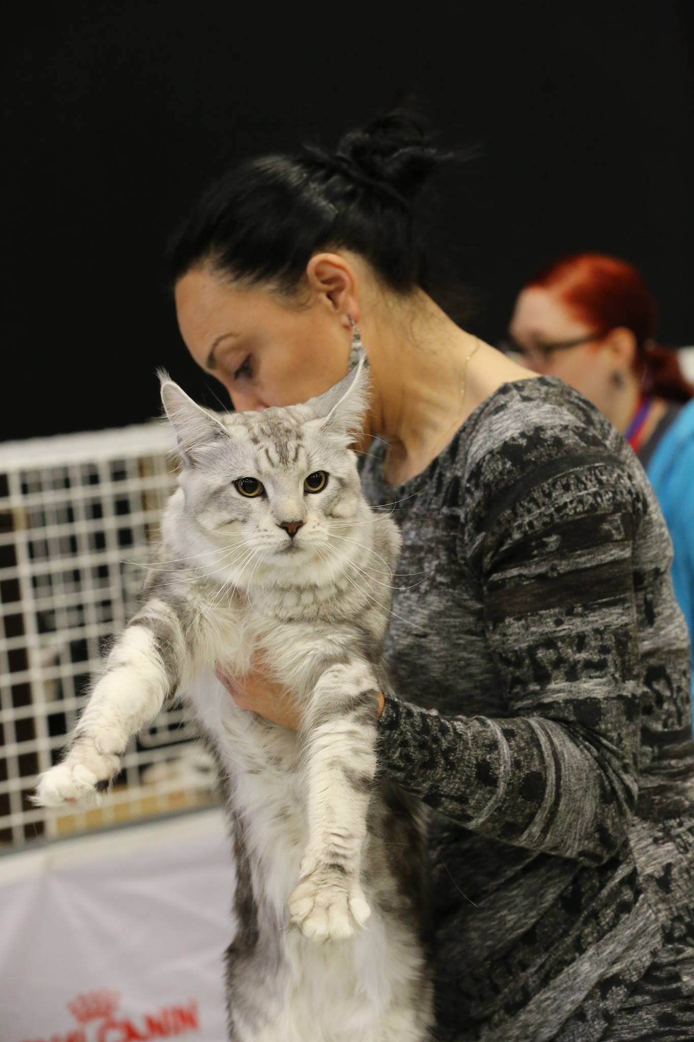 17522356_1620732744621879_255756777_o