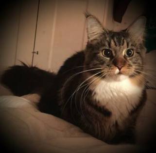 28378269_10211269557635876_7764375829701722112_n