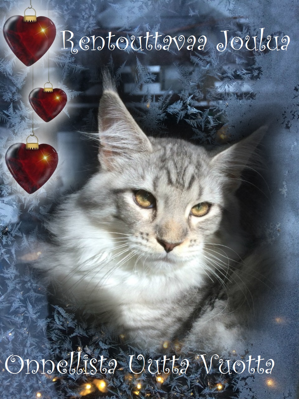 MOGGI_JOULU2018_4 (1)