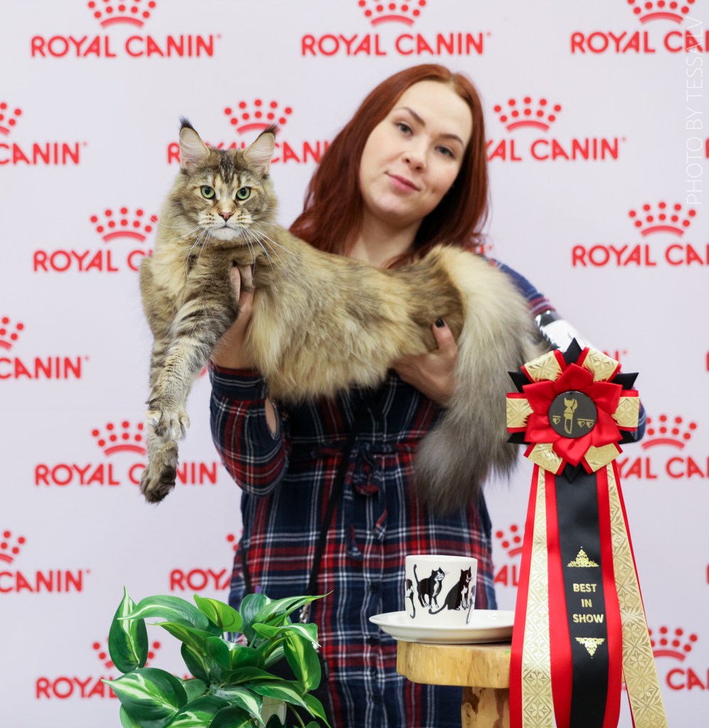 BIS Minni ja Sara, picture by Tessa